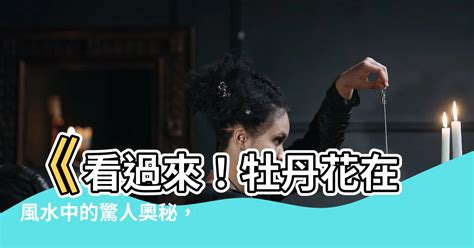 牡丹花風水|牡丹風水擺設五大禁忌揭秘